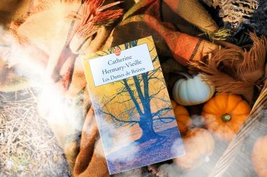 Les Dames de Brières, tome 1 ; Catherine Hermary-Vieille 