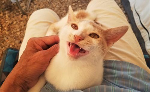 Voilà, c'est fini !