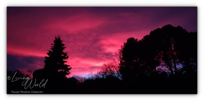 Les Cévennes : Une tradition d’accueil et de liberté
