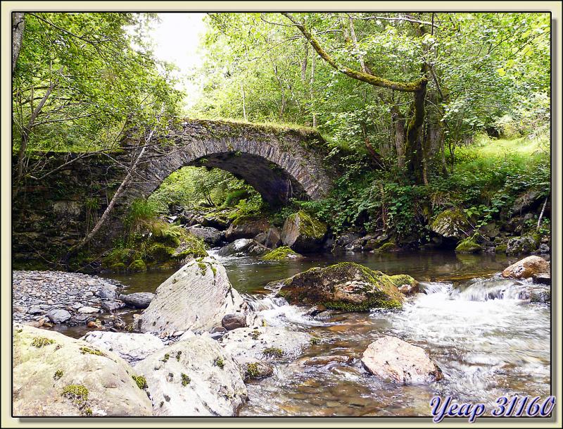 Petit pont dans la montagne sur le torrent Maudan - Melles - 31