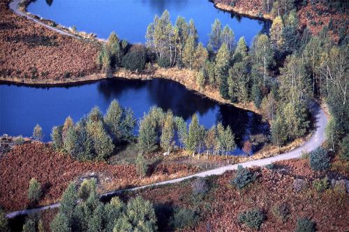 Marc Paygnard  L’éternel émerveillé