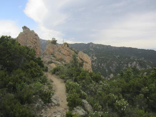CORSE GR 20