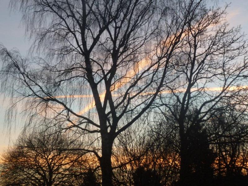 Ont-elles froid ? ...
