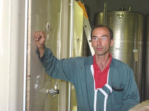 Les vendanges chez Sylvain Bouhélier...