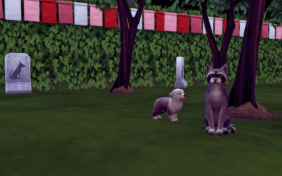 [CALF] Eté 3 - Semaine 13 - Jours 87 à 91