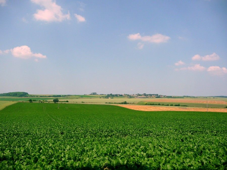 Bleu blanc rouge ... en Picardie