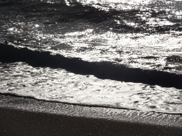 Les vagues de la mer