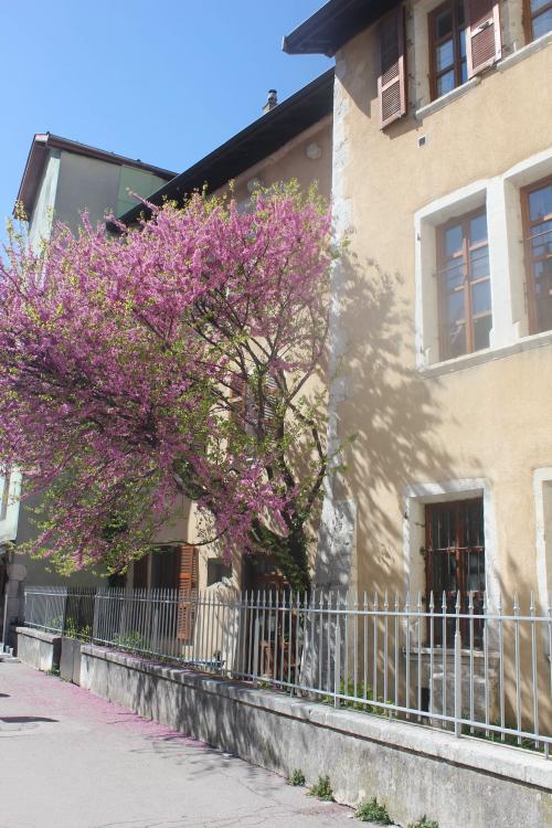 Annecy