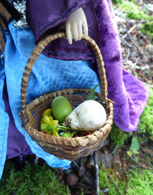 Un automne avec Fauna