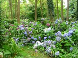 En vacances il y a eu / 2/