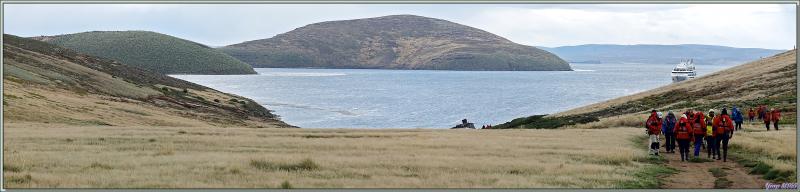 La sortie se termine, nous quittons Coffin's Harbour pour revenir vers South Harbour et rejoindre le Lyrial - New Island - Falkland (Malouines, Malvinas) - Grande-Bretagne