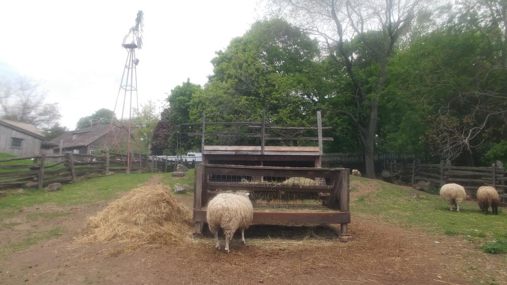 Long Weekend in Toronto from May 17th 2024 until May 20th 2024: Second Day