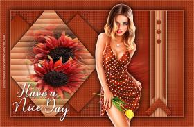 Have a nice day