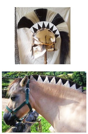 La crête du cheval des Fjords.jpg
