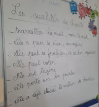 Chevalier Chouette : Book Report