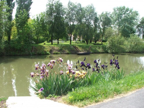 DSCF3594.JPG