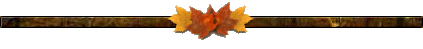 Barre séparatrice  automne