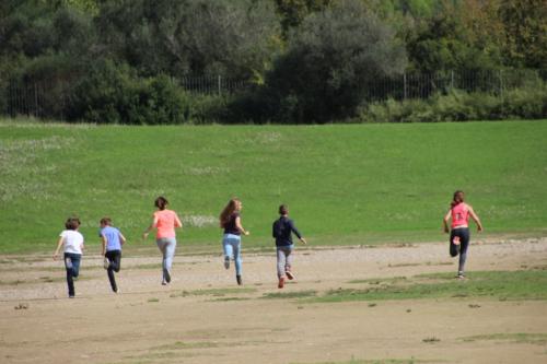 Courir (et gagner !) à Olympie