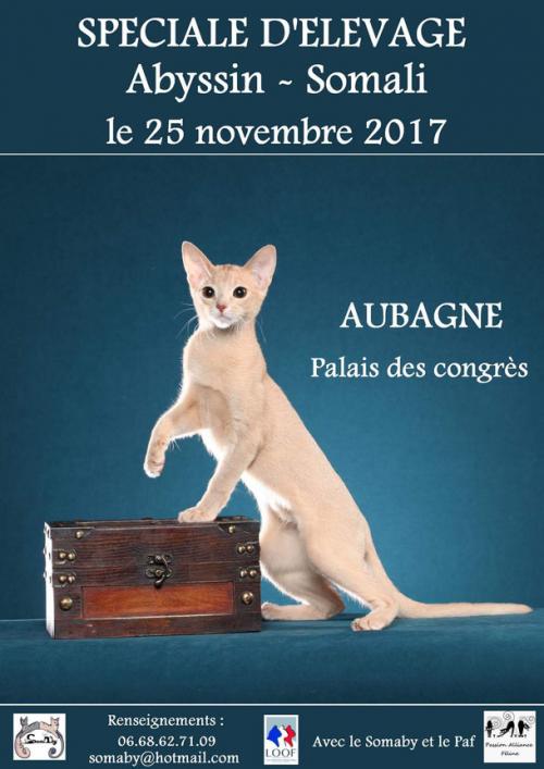 Expo de novembre :