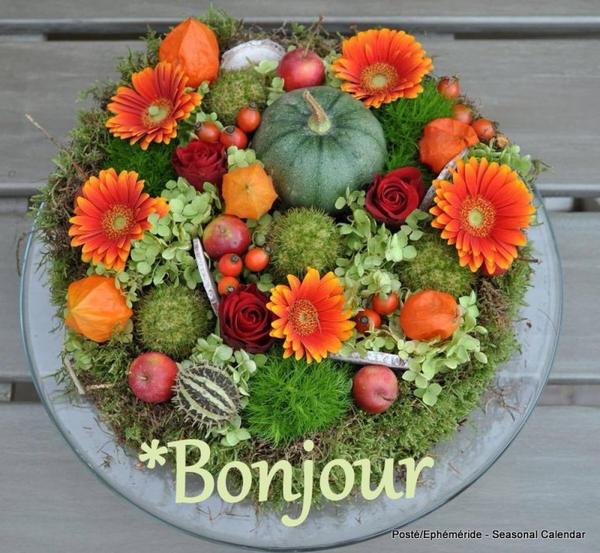 CAPUCINE 66