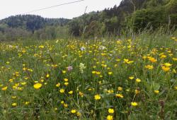 Coucou d'un samedi soir !!!!