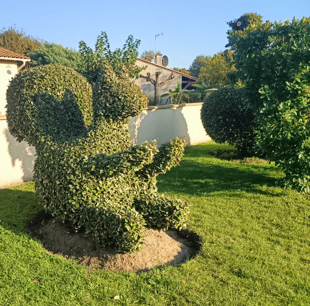 Ecureuil et oiseaux en art topiaire - novembre 2024...