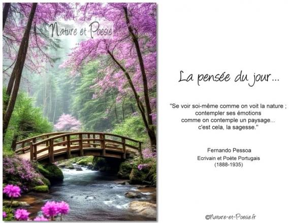 La pensée du jour (132)