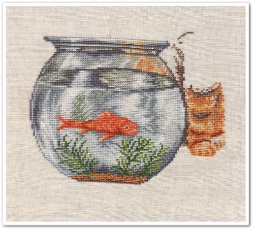 Le chat et le poisson rouge 6