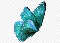 Bouton Dorset : Septembre en turquoise