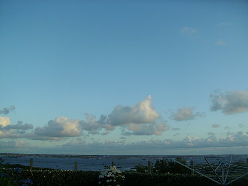 IMGP0238-copie-1.JPG
