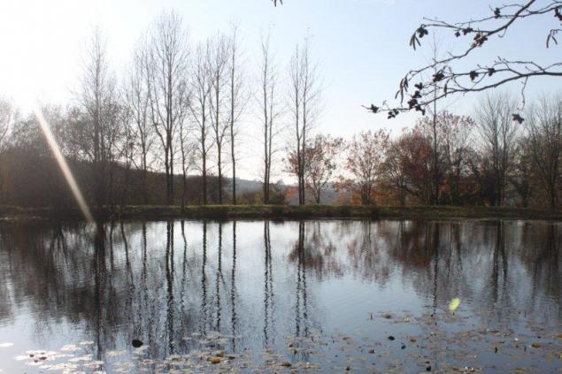 jardin à St Urbain 017