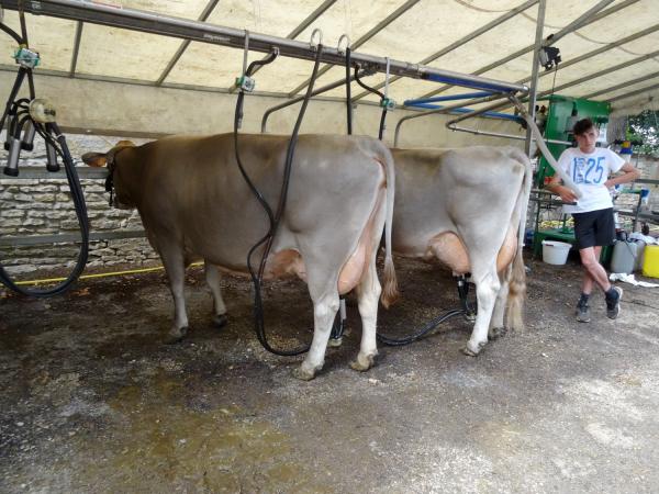 Les Journées Châtillonnaises 2015