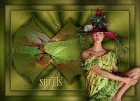 Sheets