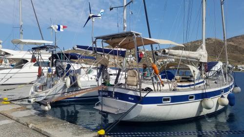 L'ardeur de la fraternité cannoise