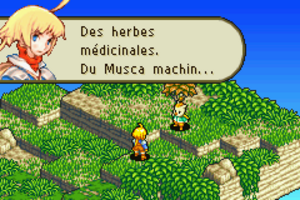 Final Fantasy Tactic Advance - Chapitre 2 - Arriver a Ivalice