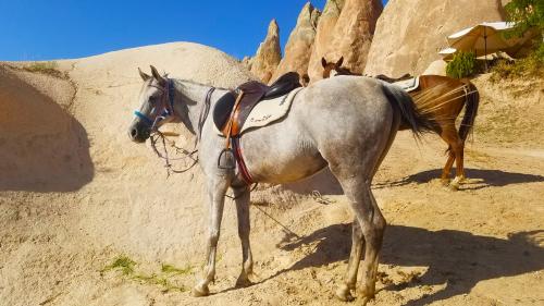 L'hospitalité des cheminées de fée