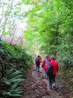 La randonnée du 20 octobre à Beaumont-en-Auge
