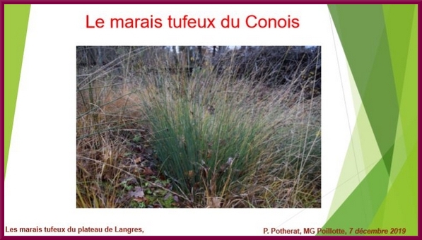 "Les marais tufeux du Plateau de Langres", une conférence proposée par la Société Mycologique du Châtillonnais