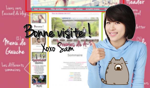 Mode d'emploi du Blog