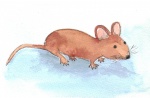 La souris verte