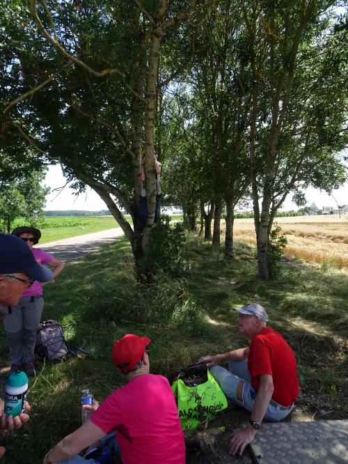 "Baladouce d'été" - Mardi 09 juillet 2024