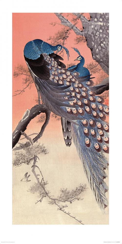 Koson Ohara Artiste peintre