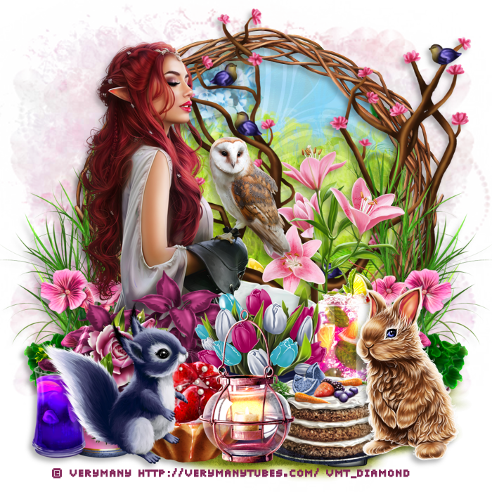 Défi elfe chez l'oasis du psp