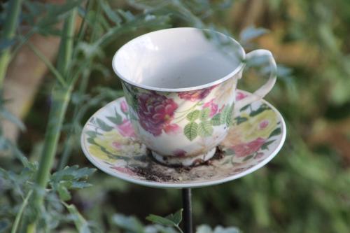 Chambre d'ôtes "Haut-Jardin" à Vignoux-sous-les-Aix