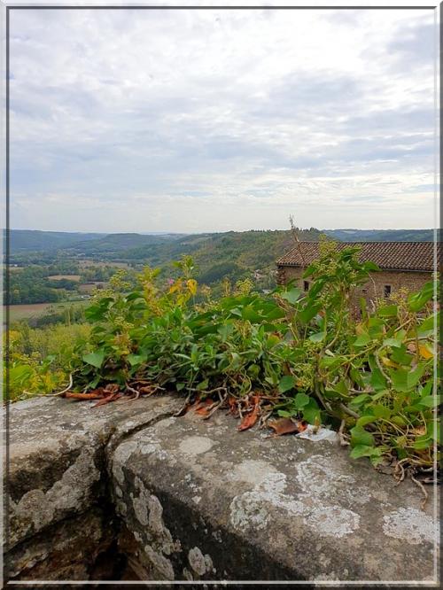 967 - Virée en Tarn et Garonne… suite de la grimpette à Cordes-sur-Ciel dans le Tarn (81) !