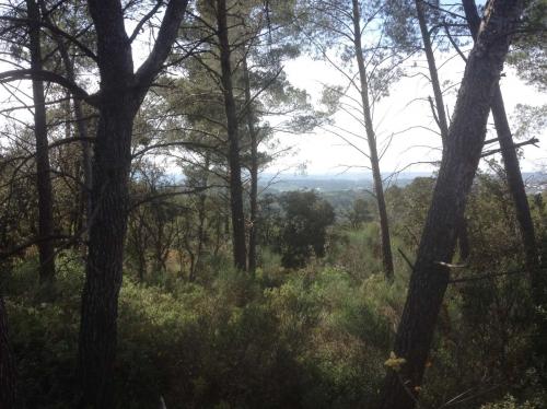 Grande ruine du Vallon aveugle à Aix