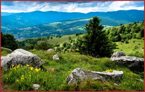 ╰⊱♥⊱╮ღ꧁ Département 88  ꧂ღ╭⊱♥≺