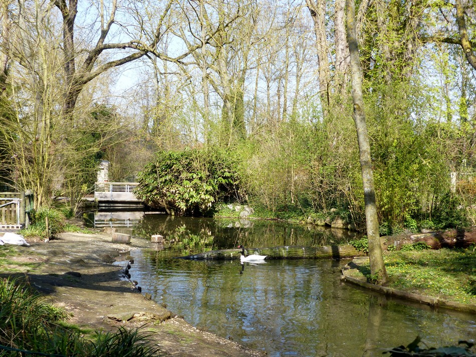 Le parc du Zoo d'Amiens