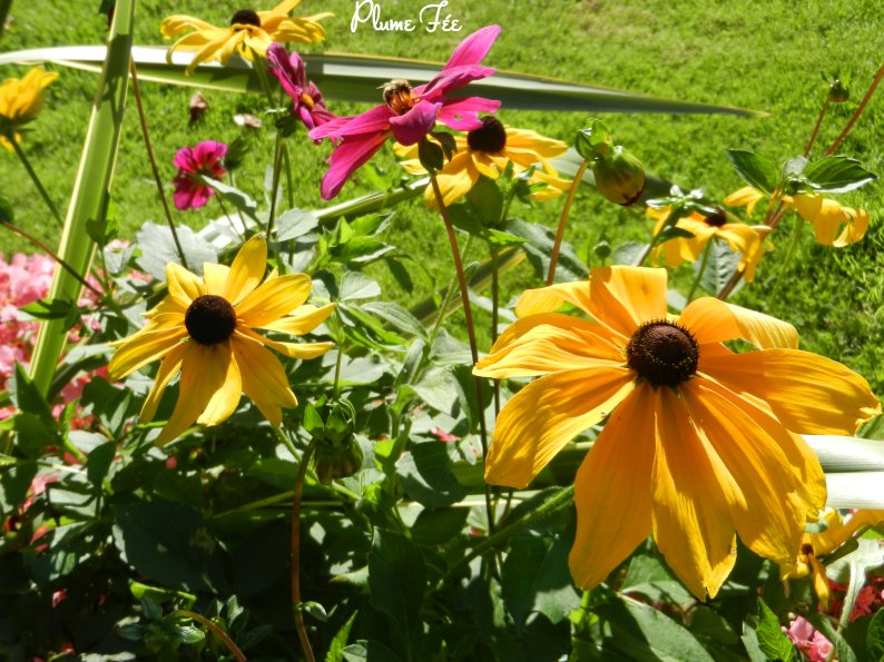 Image006.jpg