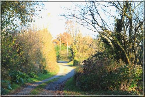 877 - Ambiance automnale !